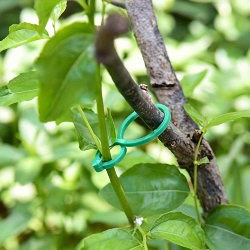 125Pcs Garden Plant Support Ki - Tie Bar Clip review and price